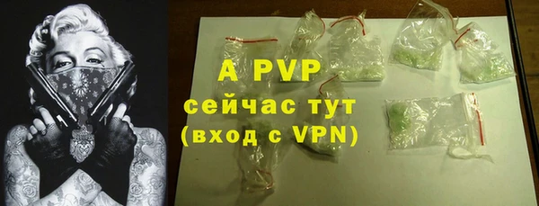 молекула духа Арсеньев