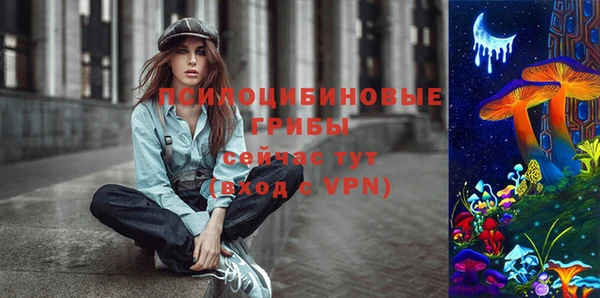 ешки Аркадак