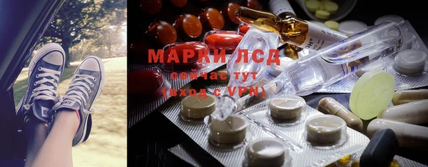 ешки Аркадак