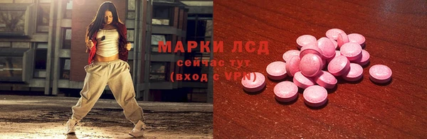 молекула духа Арсеньев