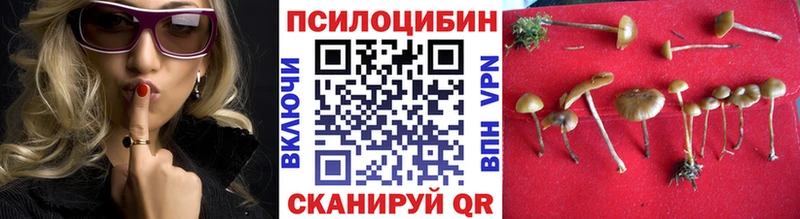 Галлюциногенные грибы Psilocybine cubensis Купить Октябрьск